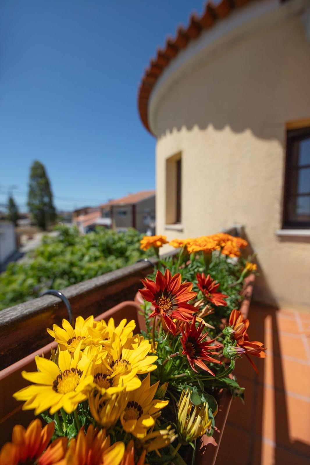 Salgado Villa *